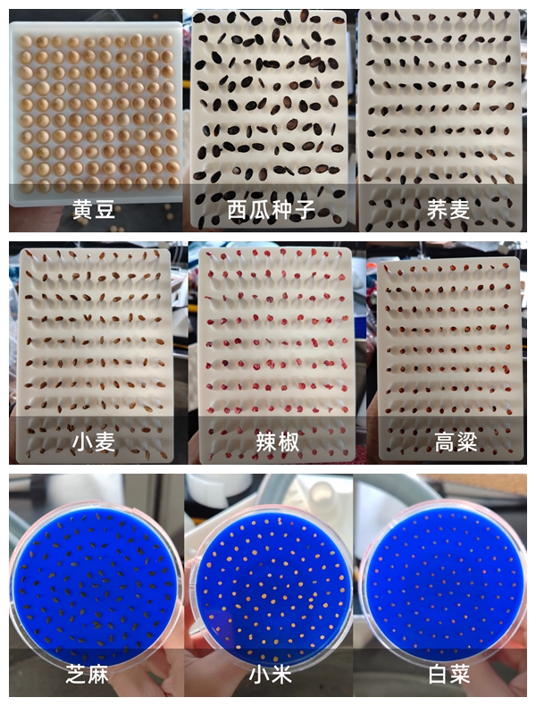 多功能真空數(shù)種置床儀