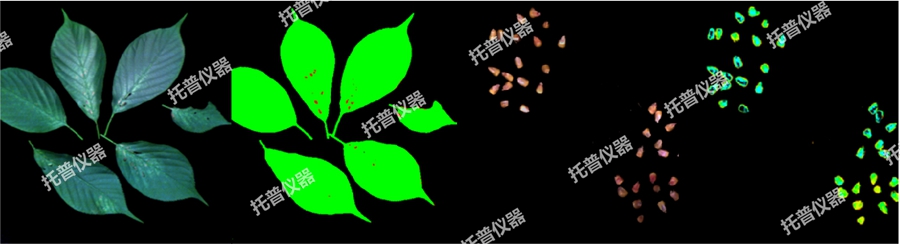高光譜植物數(shù)字表型采集分析系統(tǒng)