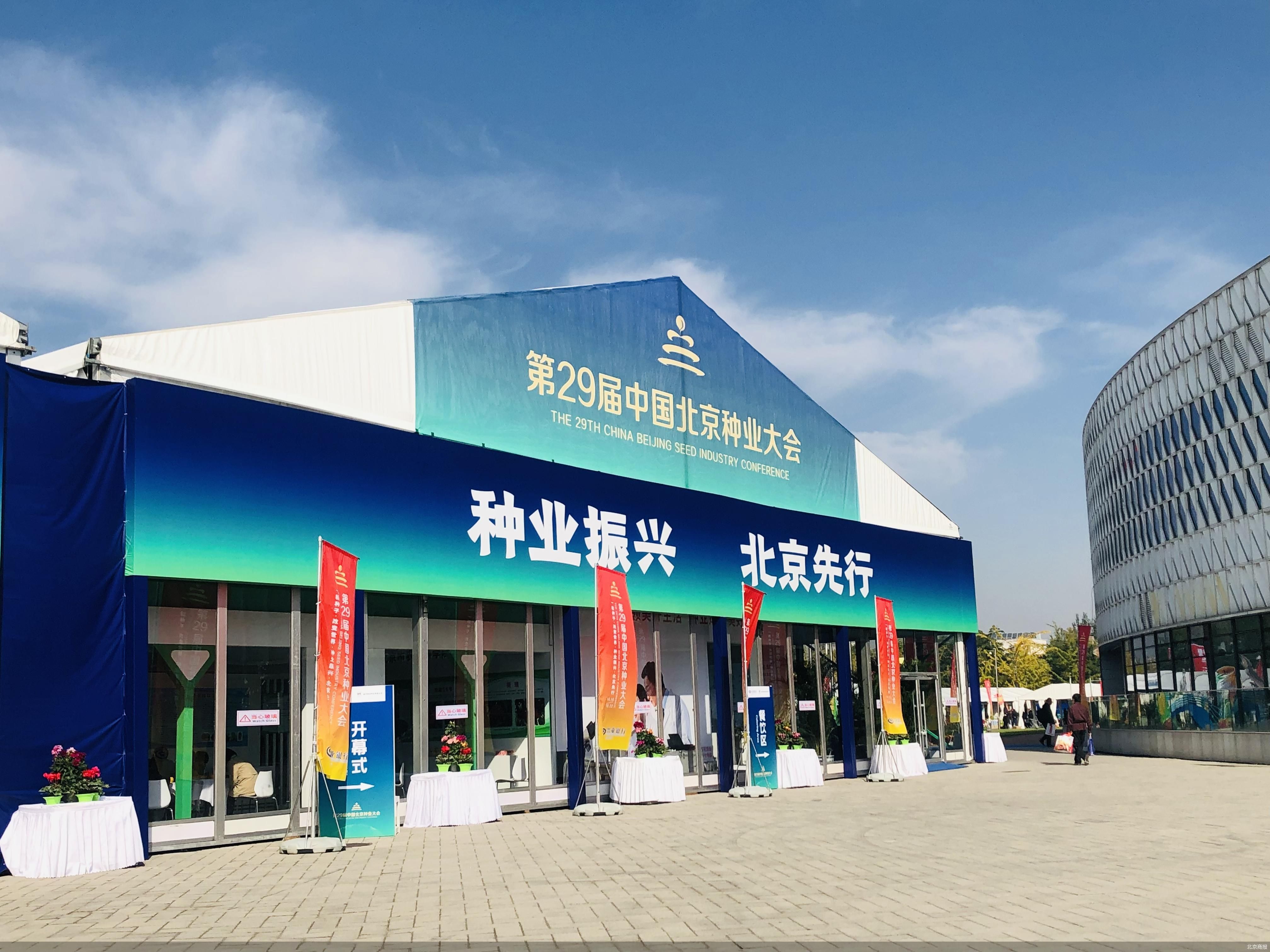 “玉米自交系”搶眼 種業(yè)振興北京如何打頭陣