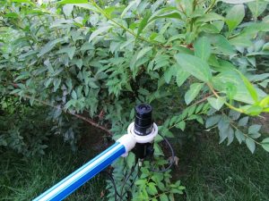 植物冠層分析儀
