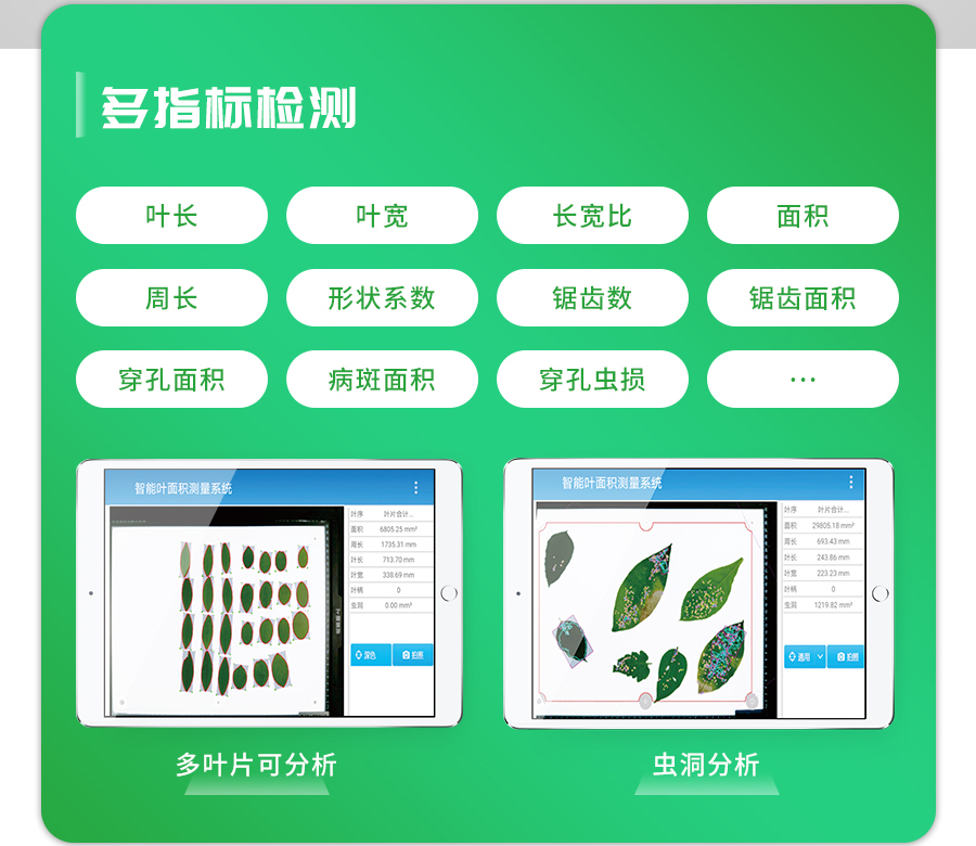 拍照式葉面積測量儀