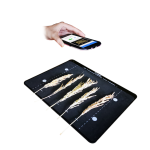 稻穗形態(tài)測量儀