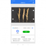 稻穗形態(tài)測量儀