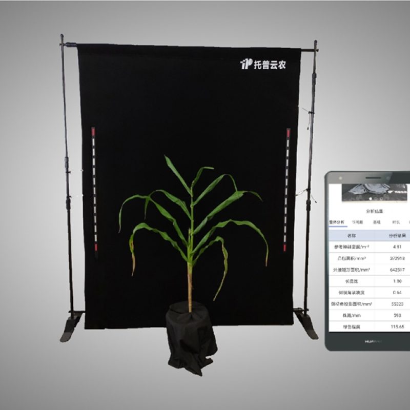 玉米株型分析系統(tǒng)