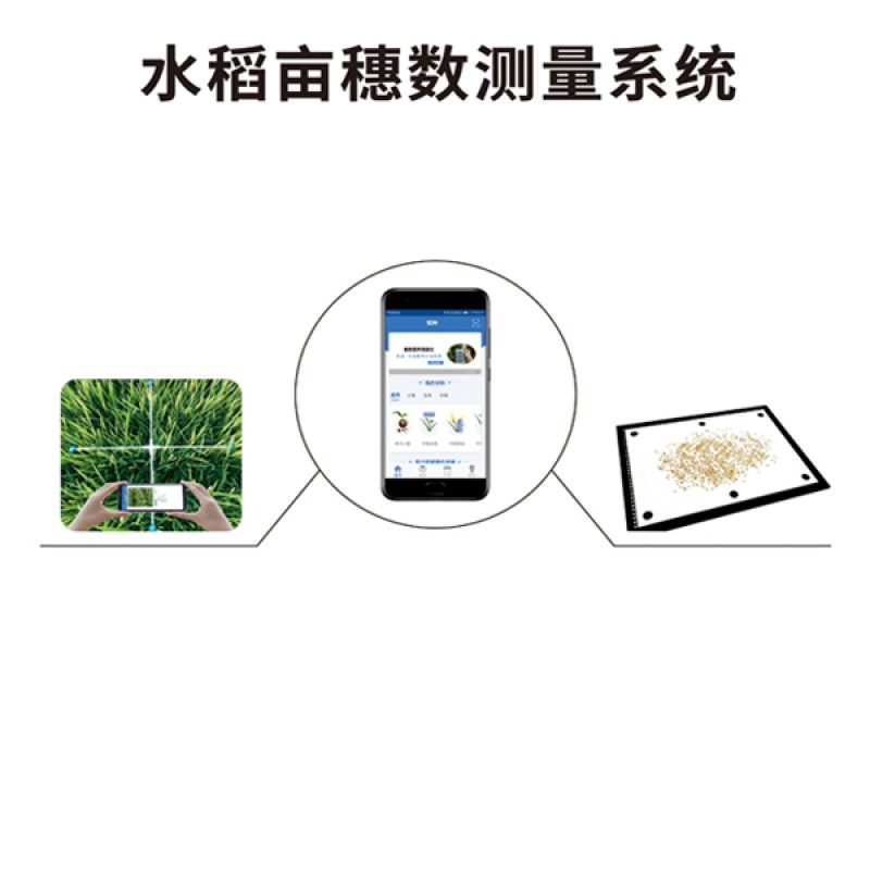 水稻畝穗數(shù)測量系統(tǒng)