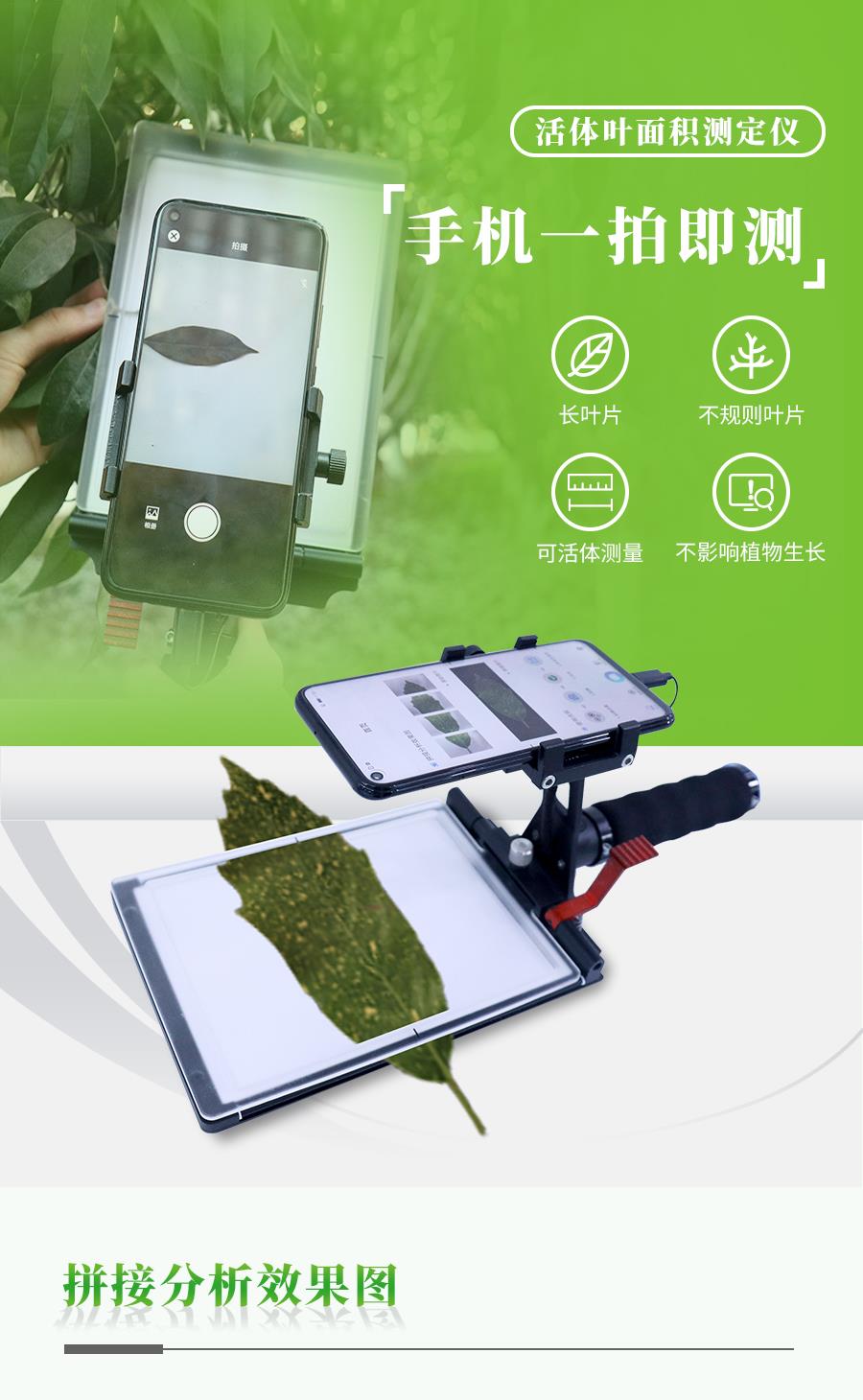 活體葉面積測量儀