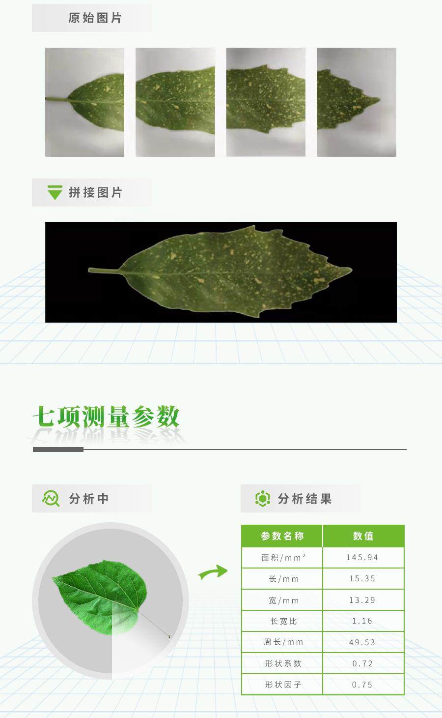 活體葉面積測量儀