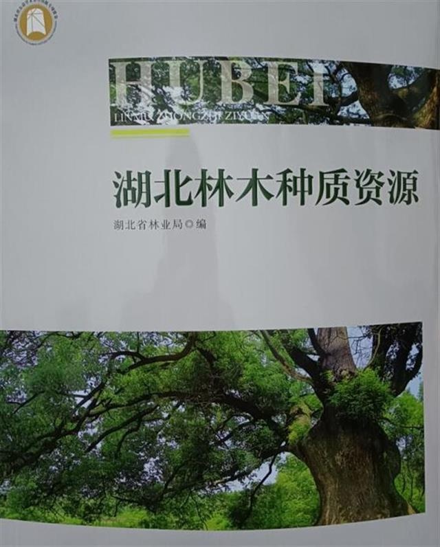 記錄全省2783種木本植物琢岩，《湖北林木種質(zhì)資源》正式出版