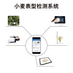 小麥表型檢測系統(tǒng)