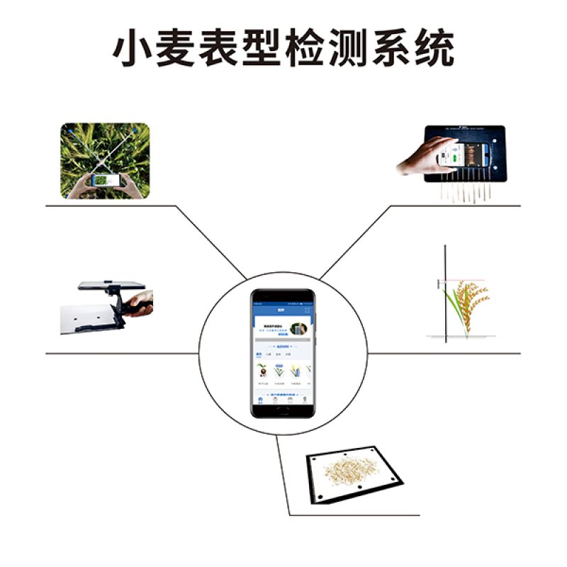 小麥表型檢測系統(tǒng)