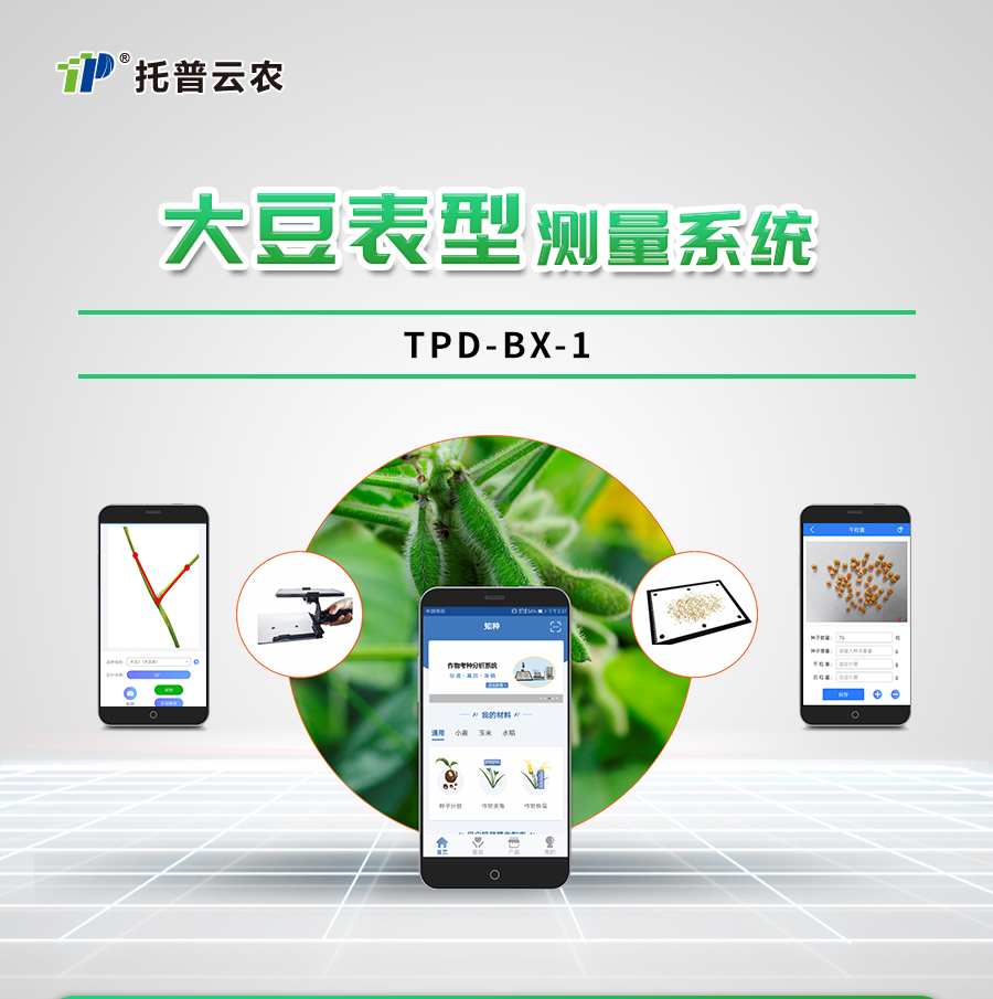 大豆表型檢測系統(tǒng)