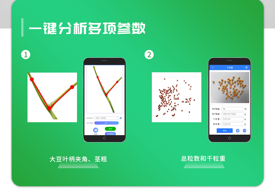 大豆表型檢測系統(tǒng)