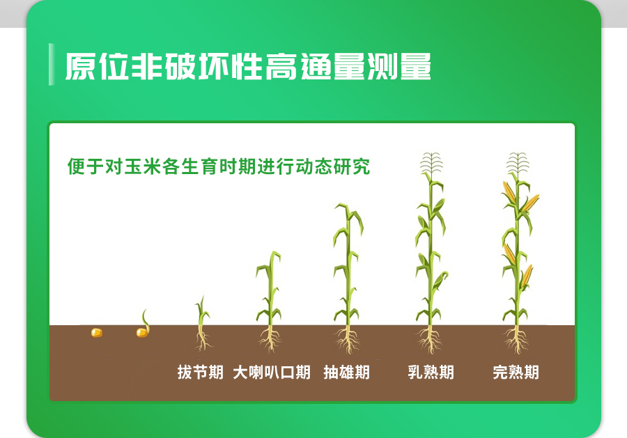 玉米表型檢測儀