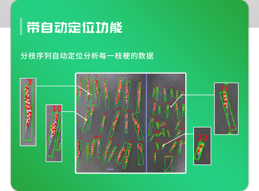 水稻整穗考種儀