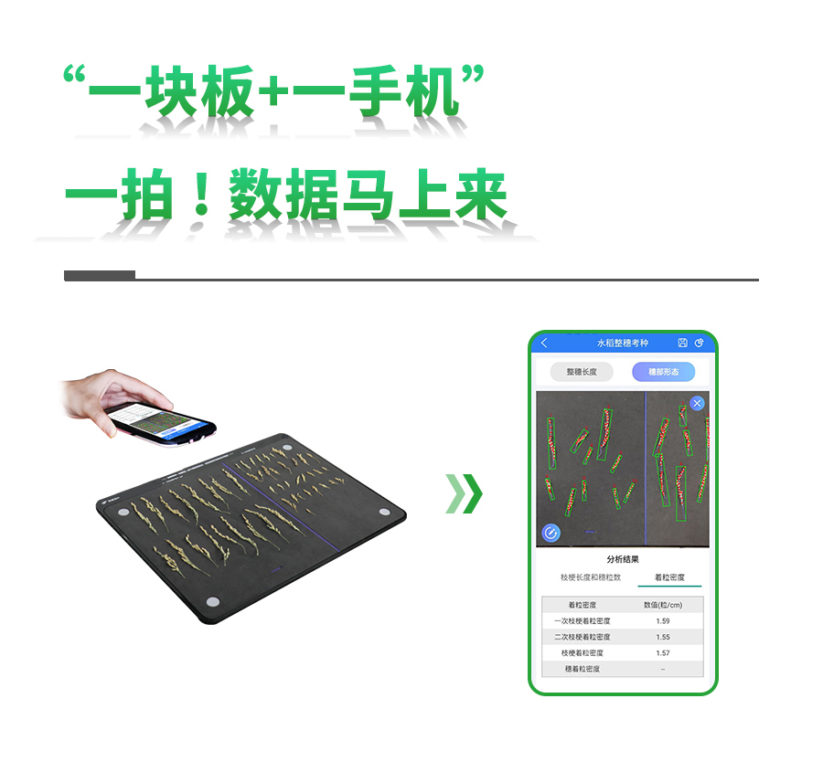水稻整穗考種儀