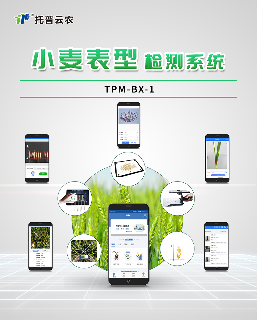 小麥表型檢測系統(tǒng)