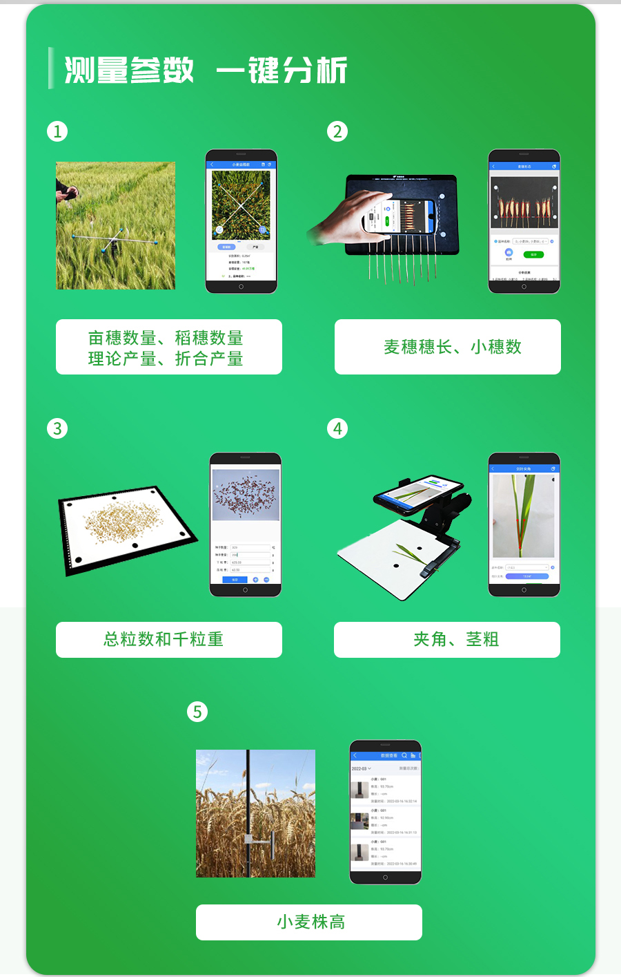 小麥表型檢測系統(tǒng)