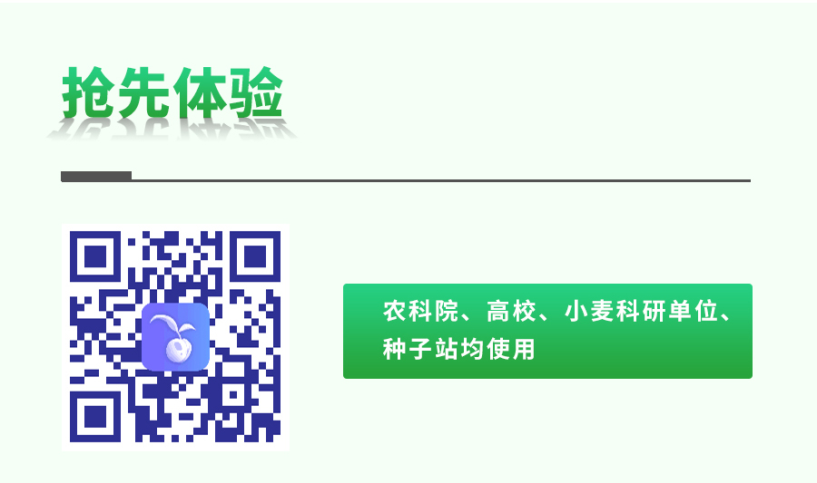 小麥表型檢測系統(tǒng)
