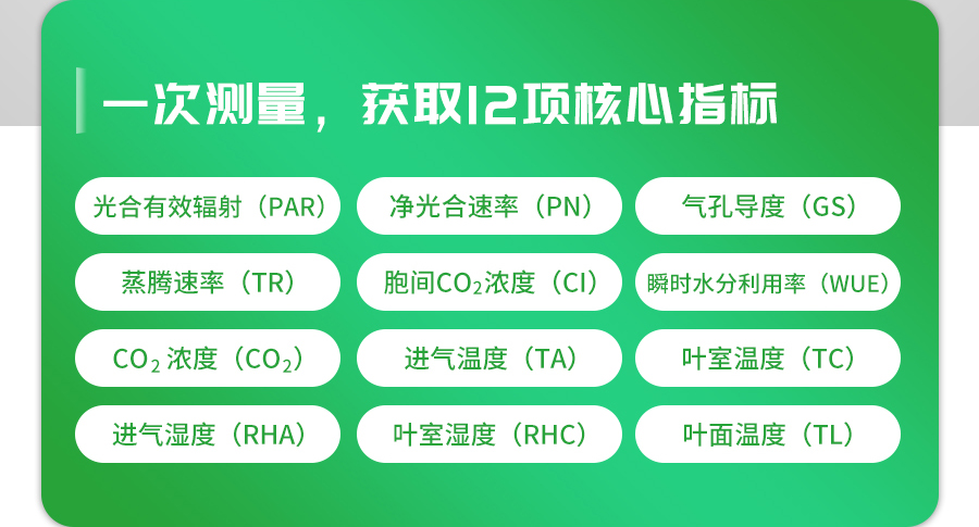 便攜式光合作用測(cè)定儀