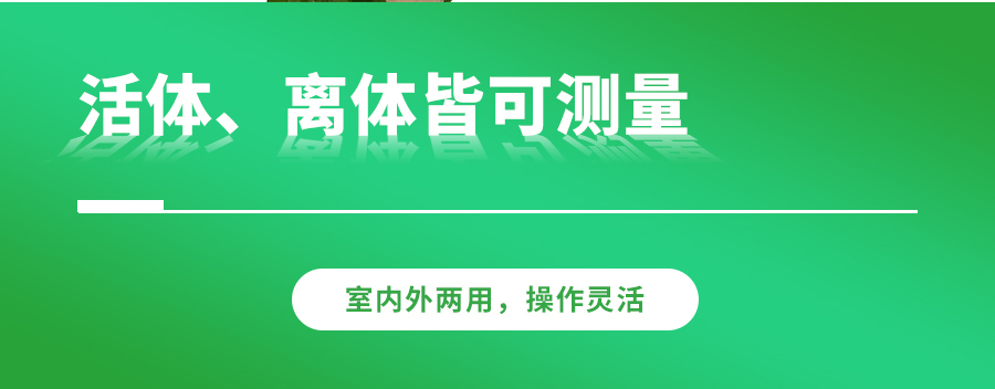 便攜式光合作用測(cè)定儀