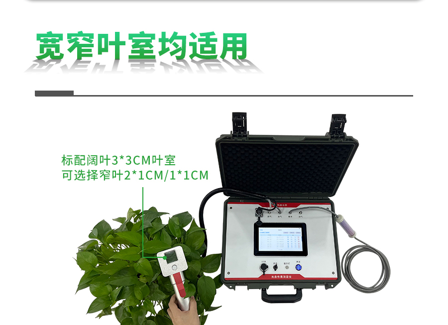 便攜式光合作用測(cè)定儀