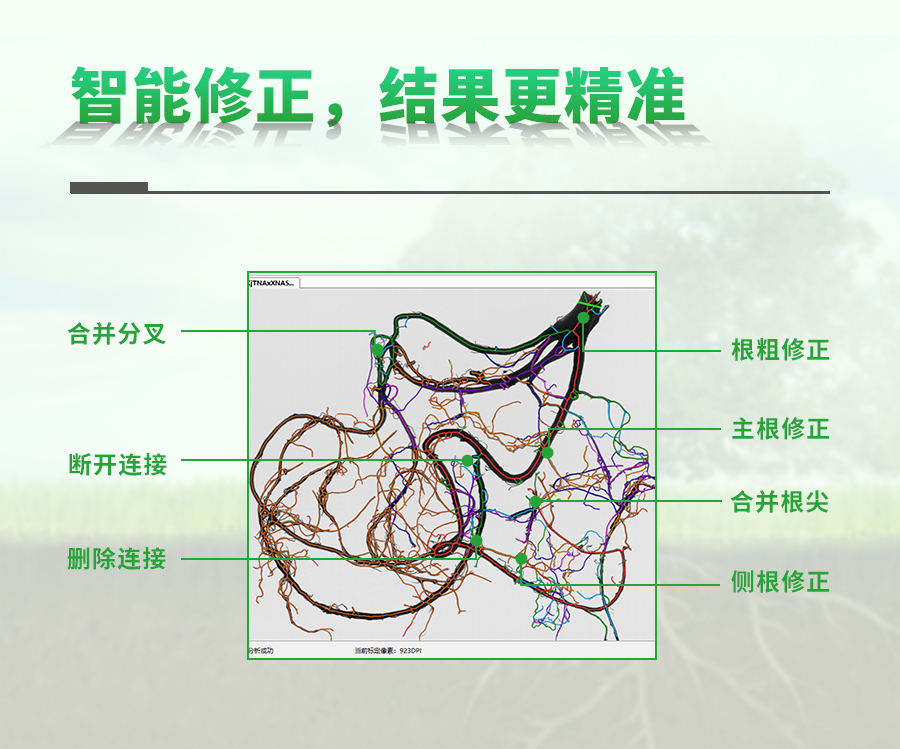 植物根系分析儀