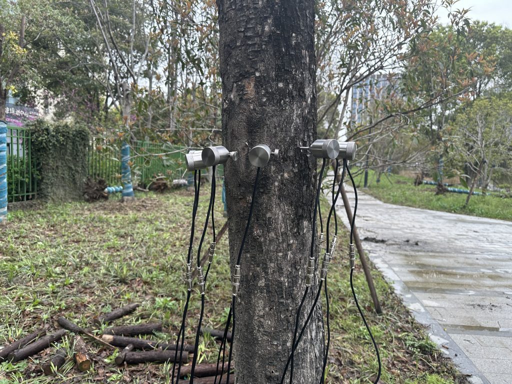 樹木無損檢測探傷儀：檢測樹木健康狀況着还，給出專業(yè)治療方案