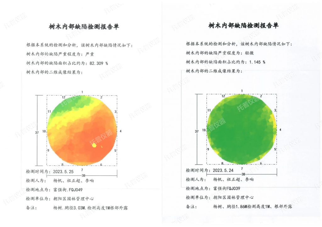 樹木無損檢測探傷儀：檢測樹木健康狀況菠隆，給出專業(yè)治療方案