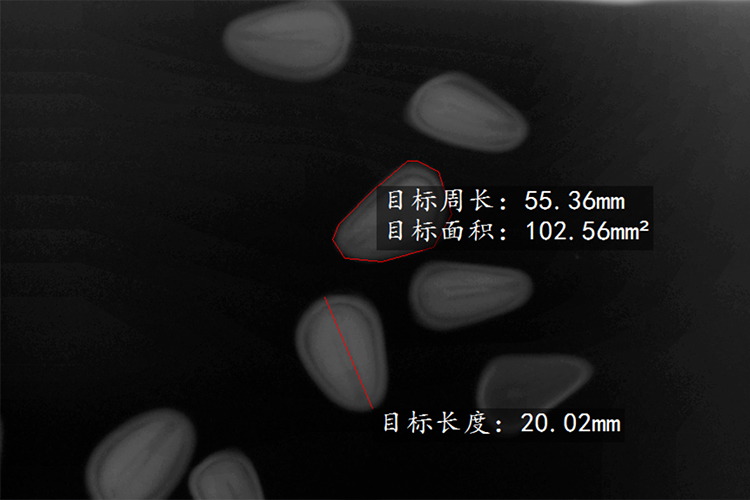 電腦種子X光機(jī)