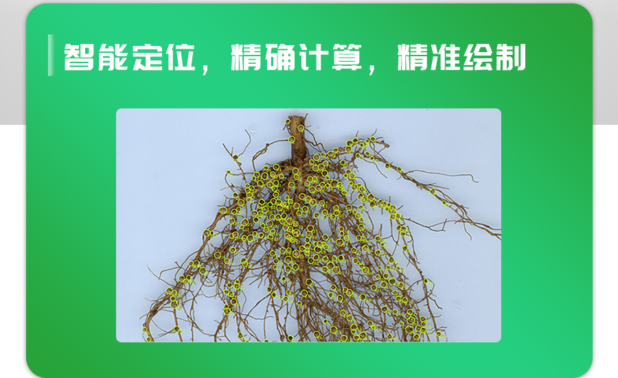 根系根瘤分析系統(tǒng)