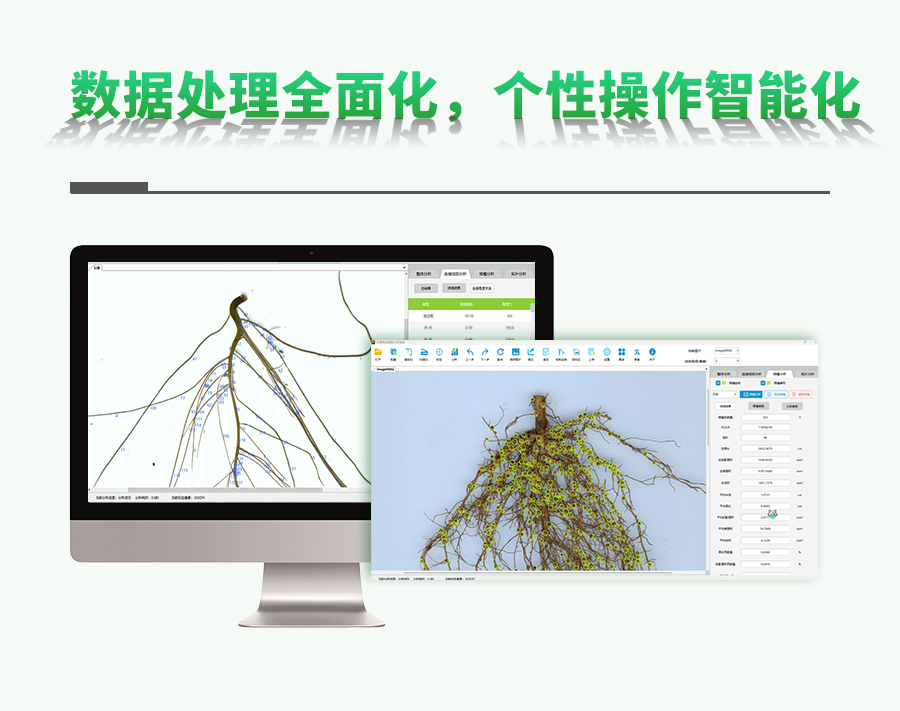根系根瘤分析系統(tǒng)