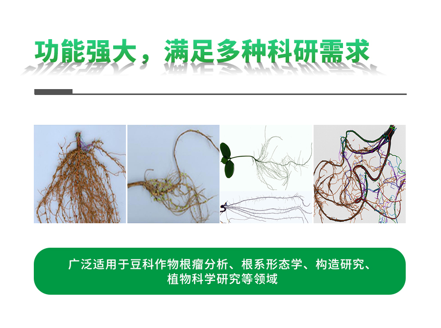 根系根瘤分析系統(tǒng)
