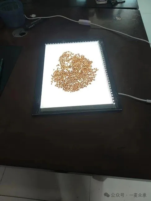 【專家力薦】發(fā)現(xiàn)知種APP的魅力：更專業(yè)血洞，更有針對性