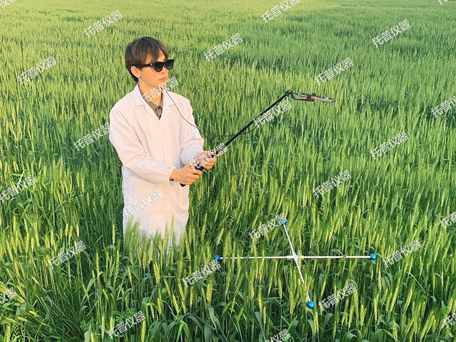 小麥表型檢測(cè)系統(tǒng)—小麥生長(zhǎng)全生命周期表型綜合檢測(cè)