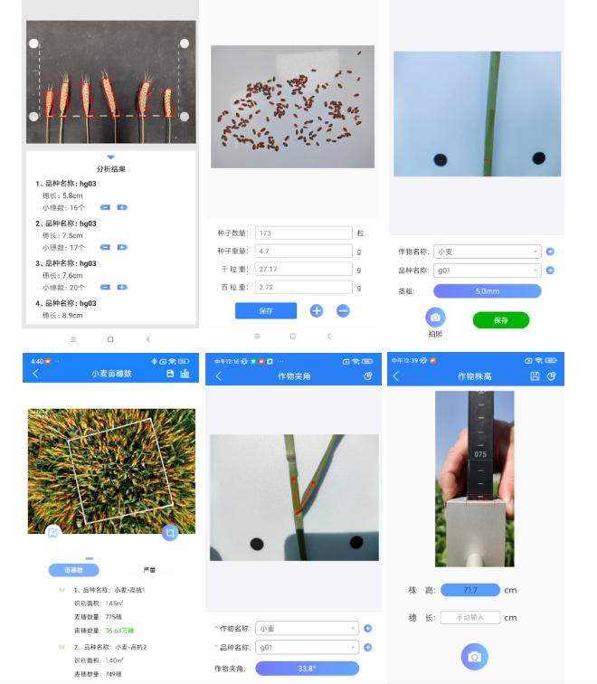 小麥表型檢測(cè)系統(tǒng)—小麥生長(zhǎng)全生命周期表型綜合檢測(cè)