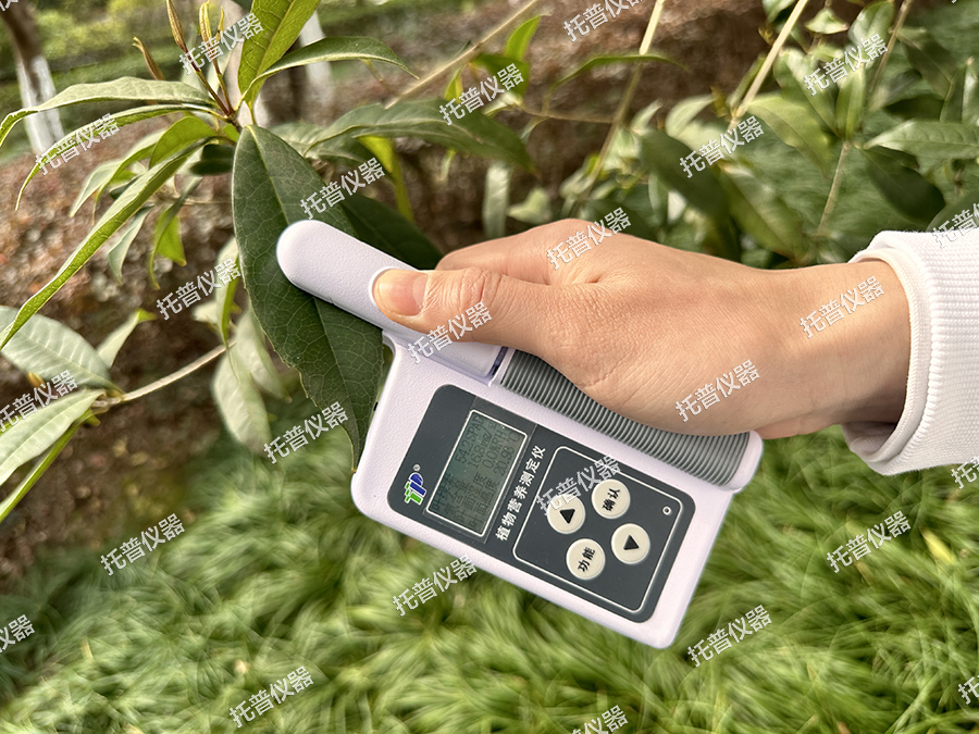植物營(yíng)養(yǎng)測(cè)定儀—無(wú)損檢測(cè)水慨，實(shí)時(shí)顯示得糜，您的植物私人醫(yī)生
