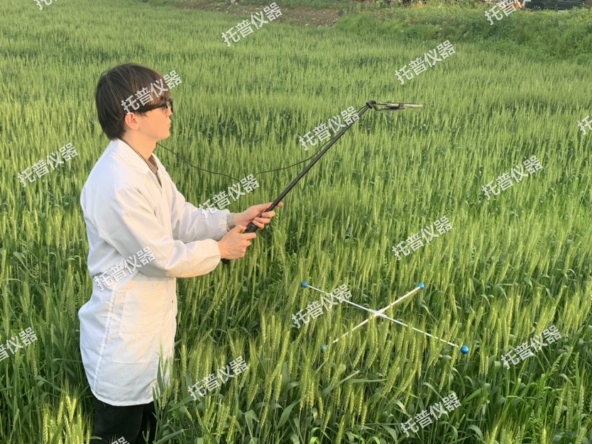小麥畝穗數(shù)測(cè)量系統(tǒng)—快速项蝉，簡(jiǎn)單獲得小麥產(chǎn)量信息的黑科技