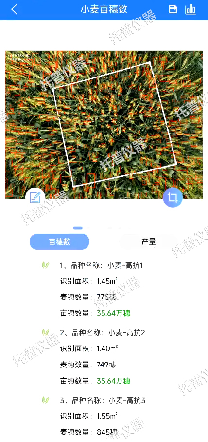 小麥畝穗數(shù)測(cè)量系統(tǒng)—快速促王，簡(jiǎn)單獲得小麥產(chǎn)量信息的黑科技