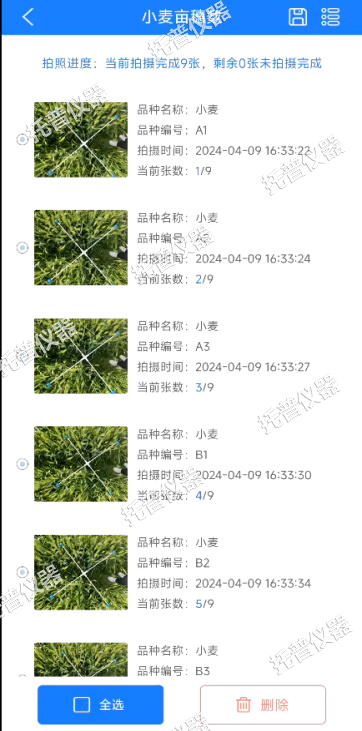 小麥畝穗數(shù)測(cè)量系統(tǒng)—快速砖啄，簡(jiǎn)單獲得小麥產(chǎn)量信息的黑科技