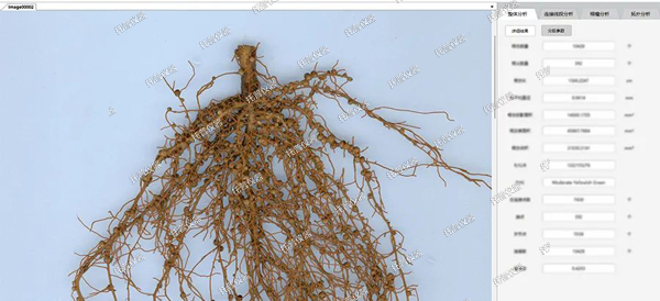 托普植物儀器四件套—您的高效科研助手！