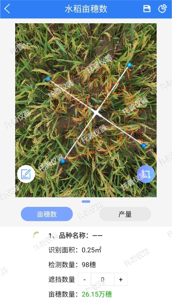 托普水稻畝穗數(shù)測量系統(tǒng)助力水稻測產(chǎn)精準高效
