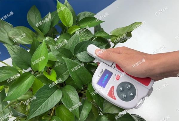 托普葉綠素測定儀全新升級，助力植物葉片研究分析
