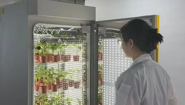 托普儀器高精度培養(yǎng)箱助力科學(xué)研究