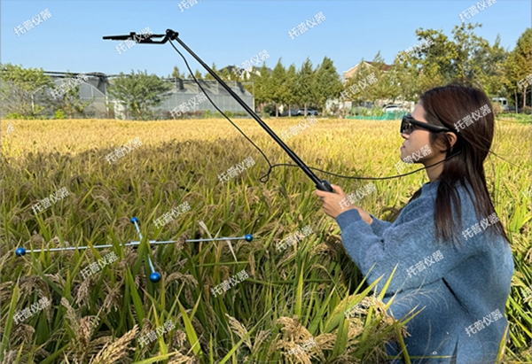 托普水稻畝穗數(shù)測量系統(tǒng)助力水稻測產(chǎn)精準高效