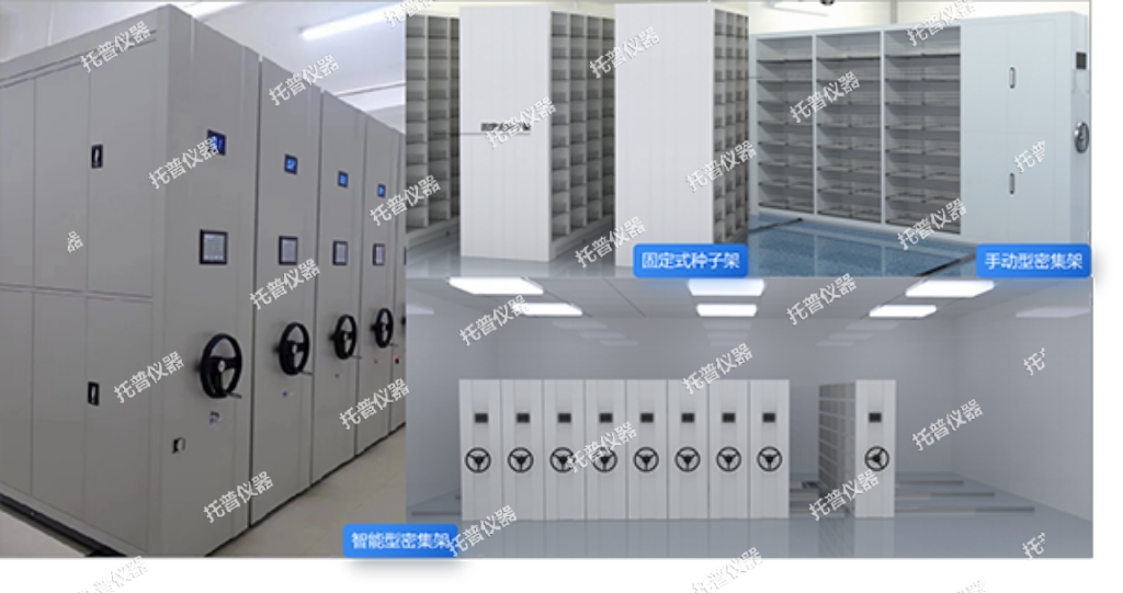 托普種質(zhì)資源庫(kù)為種業(yè)振興貢獻(xiàn)智慧之力