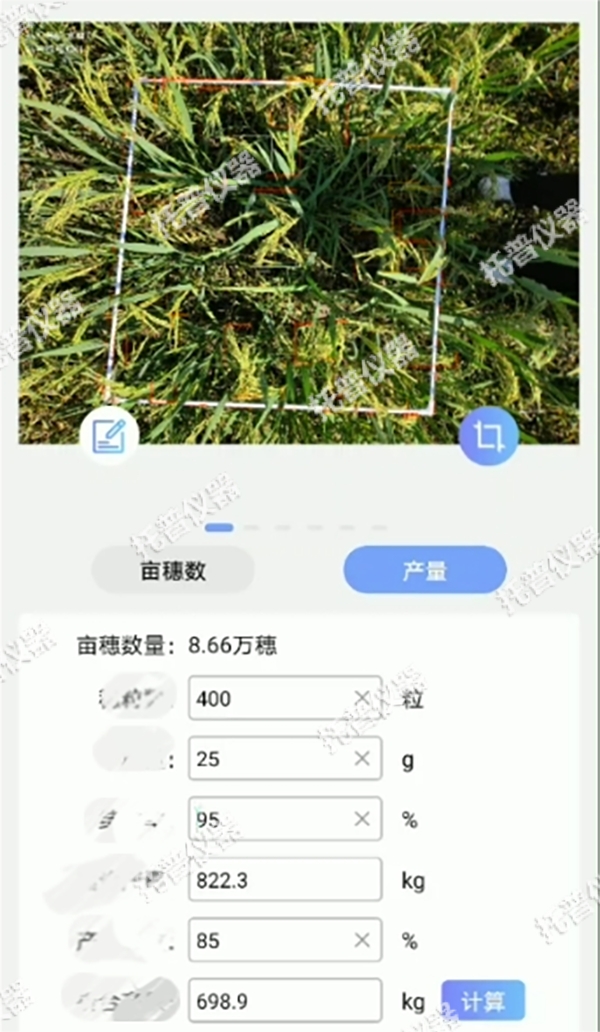 托普水稻畝穗數(shù)測量系統(tǒng)助力水稻測產(chǎn)精準高效