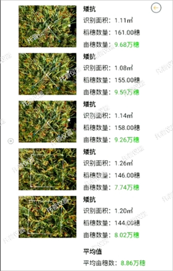 托普水稻畝穗數(shù)測量系統(tǒng)助力水稻測產(chǎn)精準高效