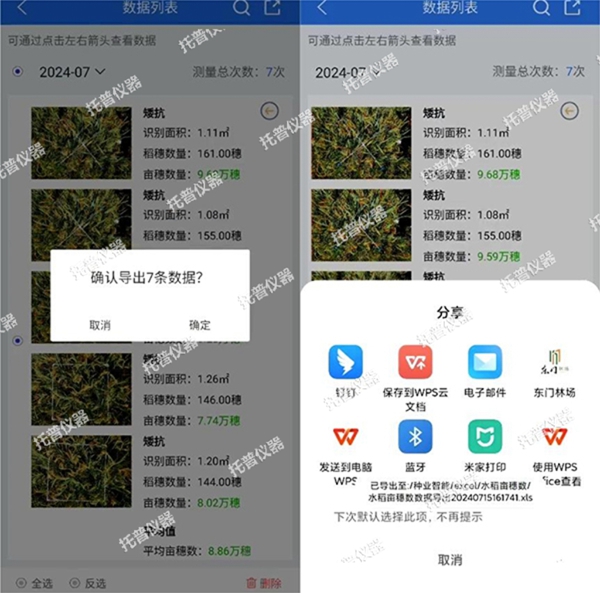 托普水稻畝穗數(shù)測量系統(tǒng)助力水稻測產(chǎn)精準高效
