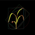 盆栽植物二維數(shù)字表型采集分析系統(tǒng)
