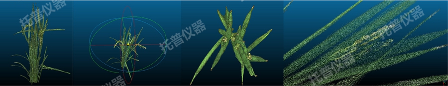 盆栽植物三維數(shù)字表型采集分析系統(tǒng)